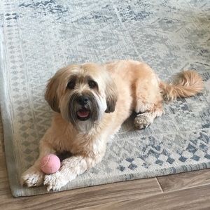 Meet your Posher, Katrina